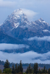 Scenic Landscpae in Grand Teton National Park in Autumn