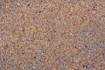 The texture of small colorful shells on the beach, top view