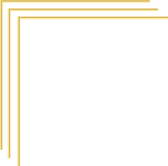 gold line border frame decoration