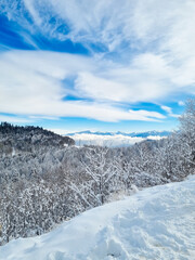 Winter mountain landscape. Forest and mountains covered with snow. the concept of the beauty of nature and travel.