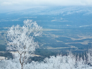 Winter mountain landscape. Forest and mountains covered with snow. the concept of the beauty of nature and travel.