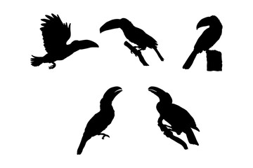 Set of silhouettes of toucan bird vector design