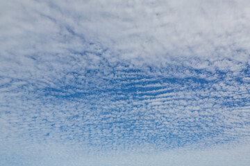 Obraz premium Blue sky