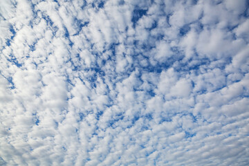 Fototapeta premium Blue sky