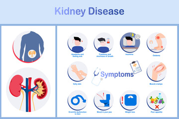 Symptoms of kidney disease, vector illustration, flat design