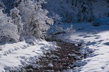 Fototapeta na wymiar beautiful sunny winterlandscape with fresh snow, snow covered trees and a mountain creek