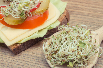 Radish sprouts and wholegrain sandwich with cheese, vegetables and sprouts. Source vitamins and minerals