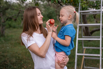 Young mother treats blonde daughter to ripe red apple . Mom and child harvest apples in garden