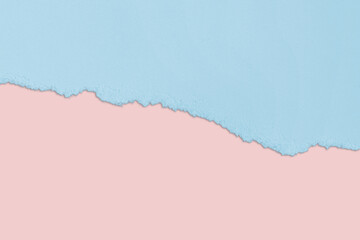 Obraz premium Torn paper in blue and pink with a shadow. Nude. isolated.