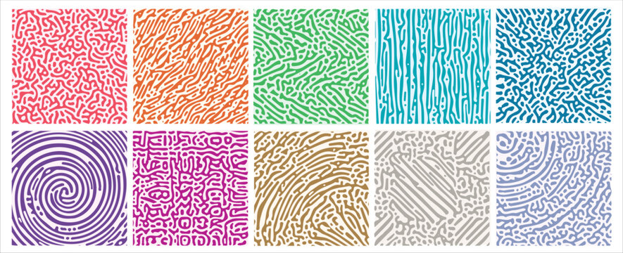 Reaction biology diffusion turing abstract pattern in 10 variant colours and styles. Vector illustration.  