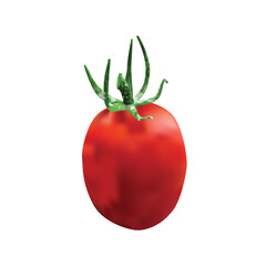 Creative Realistic Tomato Vector Design. 