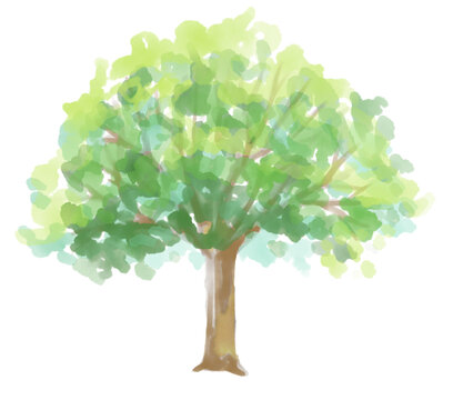 優しい風合いの緑の茂る木の水彩イラスト