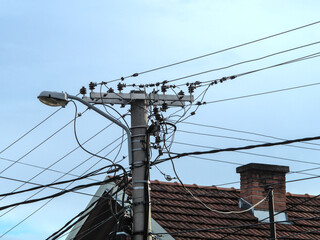 The top of a concrete utility pole with the street light, and a bunch of electric wires and optical...