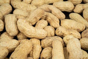 A Many peanuts in shells. Ground nuts