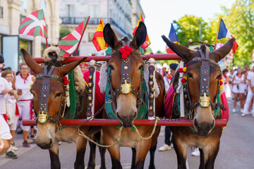 &Acirc;nes d&eacute;filent lors de la cavalcade taurine des F&ecirc;tes de Bayonne