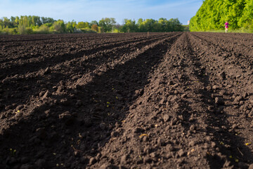 Tillage. Arable land. Furrows rows in a plowed field prepared for planting crops in spring. Land prepared for planting and cultivating the crop. Ploughed field, deep level furrow before sowing.