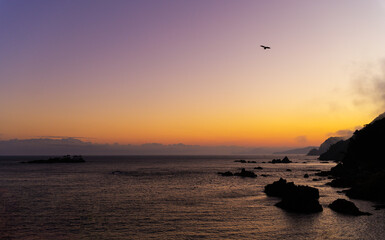 日の出前の静かな城崎の朝の風景シーン