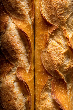 Close up shot of two french baguettes in studio lighting