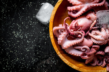 Fresh baby octopus with ice.