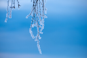icicles on a blue background