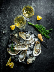 Raw oysters with white wine, ice cubes and lemon slices.