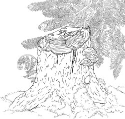 line drawing of magic book in the forest. High quality illustration