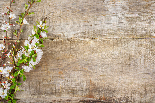 Spring cherry blossom branches with flowers and leaves on a table from old boards, easter holidays layout concept with spring flowers, copy space