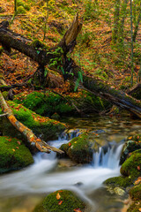 waterfall in mata da albergaria