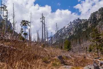 Obraz premium High Tatra Mountain Range