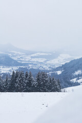 Winter in Rosenau am Hengstpaß, Upperaustria