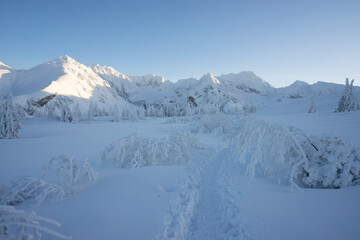 Fototapeta na wymiar Winter landscape in the Tatra Mountains.