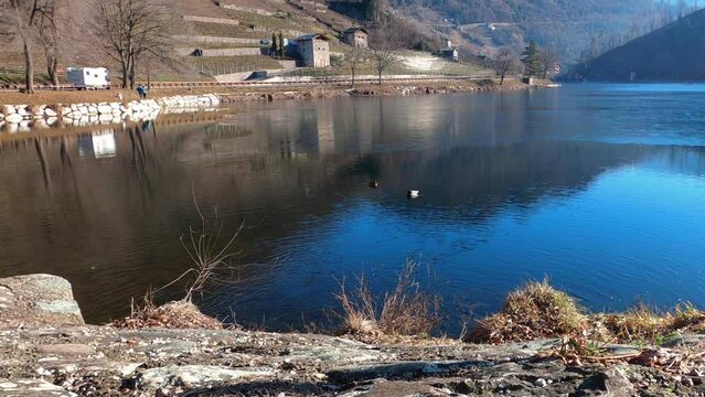 Reflections in a partially frozen alpine lake, with ducks and water lilies.