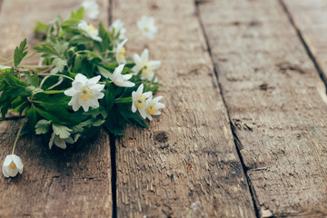 Spring flowers on rustic wooden background. Wood anemone flowers bouquet close up, simple countryside banner. Space for text. Hello spring