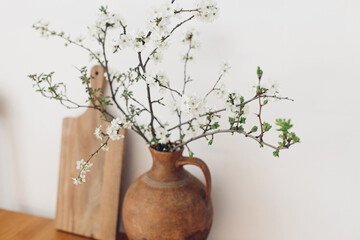 Blooming cherry branches in old vase and wooden board on table against white wall. Spring flowers...