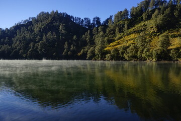 Fototapeta na wymiar Reflection of trees in the lake