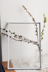 Cherry blooming branch in vase behind glass with water drops. Creative abstract image of spring flowers. Hello spring. Simple aesthetic wallpaper, wet rainy flowers. Floral rustic still life