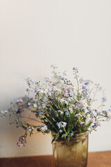 Beautiful little blue flowers in vase in warm evening sunlight on rustic wooden table. Delicate myosotis petals, forget me not spring flowers. Simple countryside living, home decor