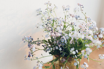 Beautiful little blue flowers in vase in warm sunlight against white wall. Delicate myosotis petals, forget me not spring flowers. Atmospheric evening moment. Simple countryside living