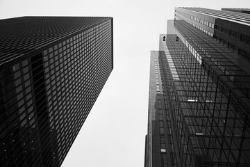 skyscrapers in the city