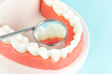 Fototapeta na wymiar Dentistry conceptual photo. Close-up individual tooth tray Orthodontic dental theme. Dentistry conceptual photo. Prosthetic dentistry. False teeth. Mock tooth or tooth model.