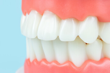 Prosthetic dentistry. Advertising. Removable denture. Dentist appointment Regular checkups are essential to oral health. Orthodontic tools, brace, bracket system, tooth,