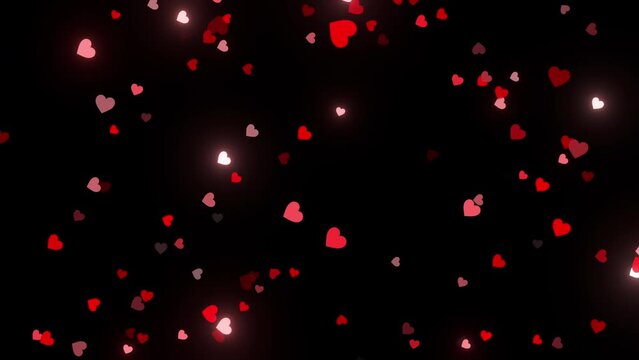 red floating valentines Hearts background video