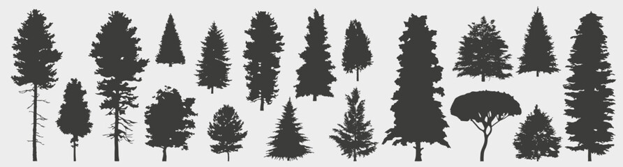  Spruce And Pines	 tree silhouette collection