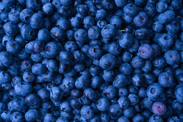 Fresh blueberry background. Texture blueberry berries close up.