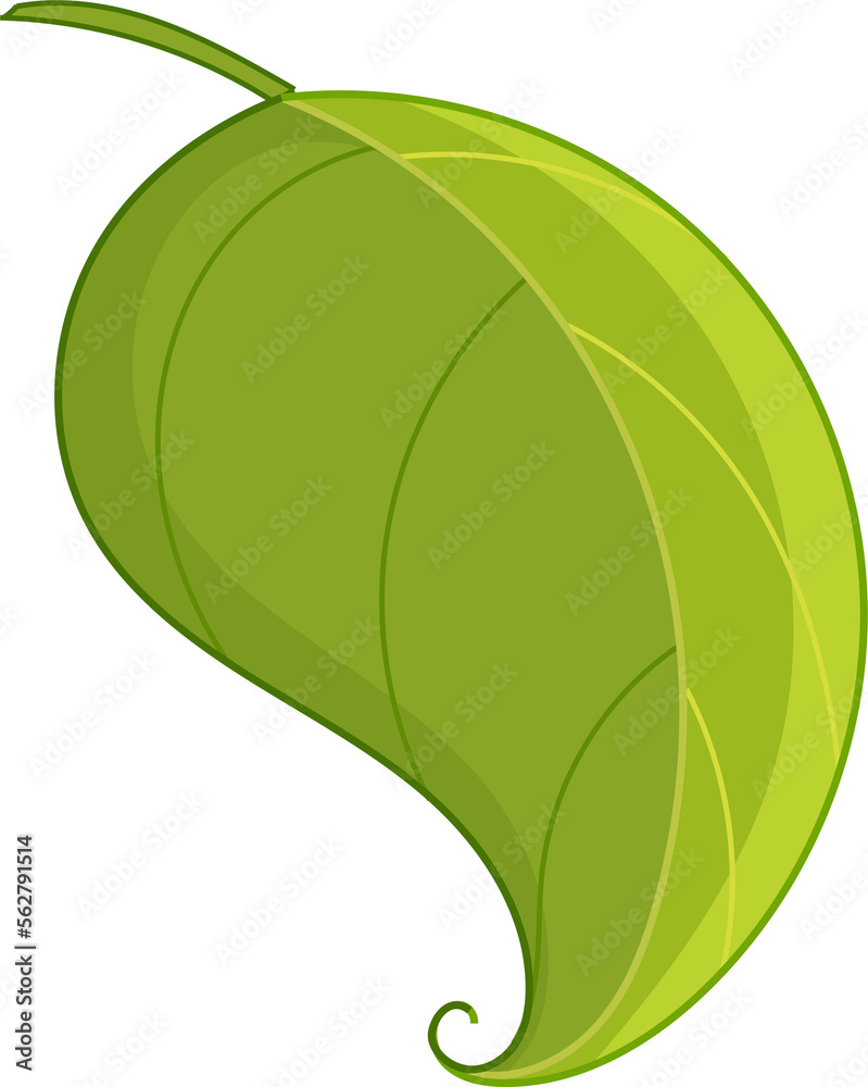 Wall mural green leaf