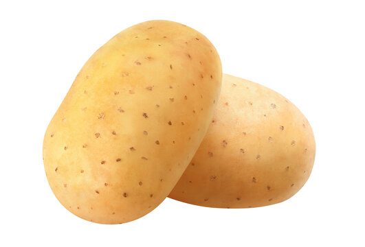 1,787,538 Potato Images, Stock Photos, 3D objects, & Vectors