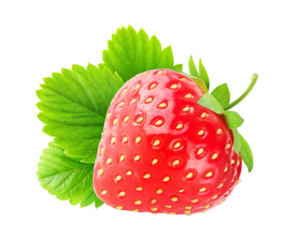 One fresh strawberry fruit with leaf cut out