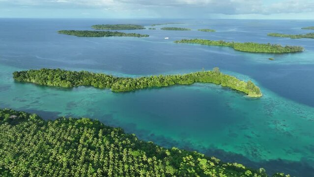 A plantation of coconut palms grows on a remote island in the Solomon Islands. This country exports a significant amount of copra, the dried flesh of the coconut which coconut oil is derived from.