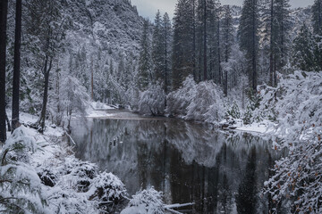 River in winter forest