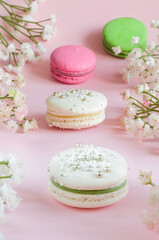 Vertical shot with macaroons and gypsophila. Pink background, daylight, selective focus